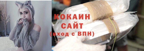 соль курить ск Заводоуковск